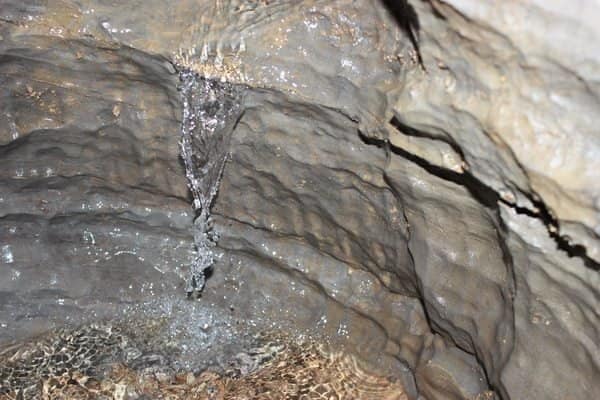 ОБЪЯВЛЕНИЕ Путешествие-терренкур в Пашийскую пещеру