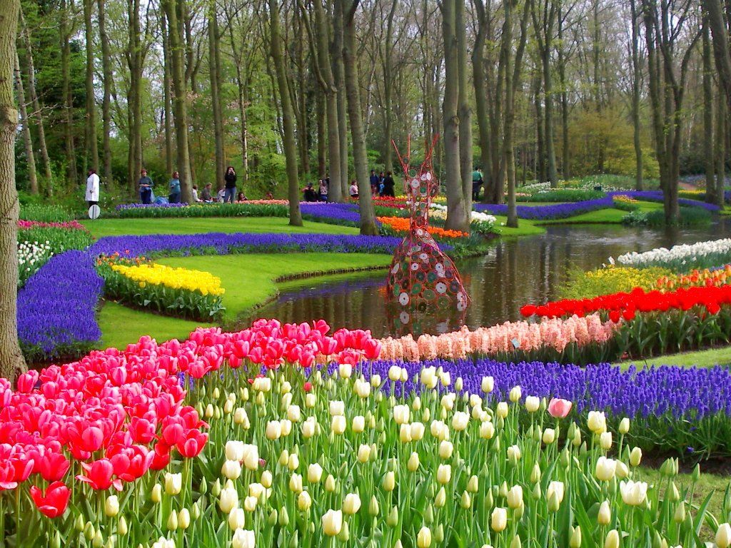 Где в России весной можно увидеть невероятные цветочные пейзажи